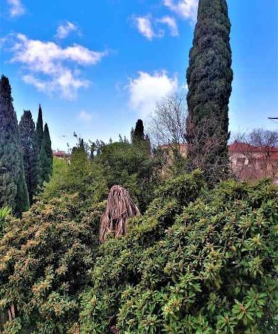 דירות פירנצה Casa Raffaello Careggi מראה חיצוני תמונה